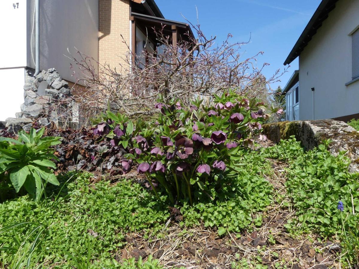 Ferienwohnung Schanbacher Oberzent ภายนอก รูปภาพ